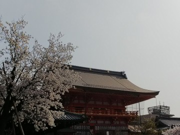 京都